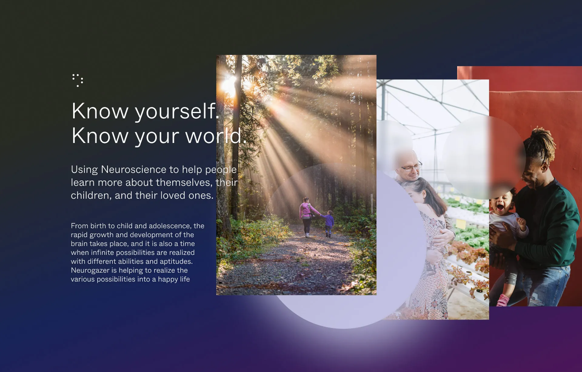 wrkhrsco neurogazer 17