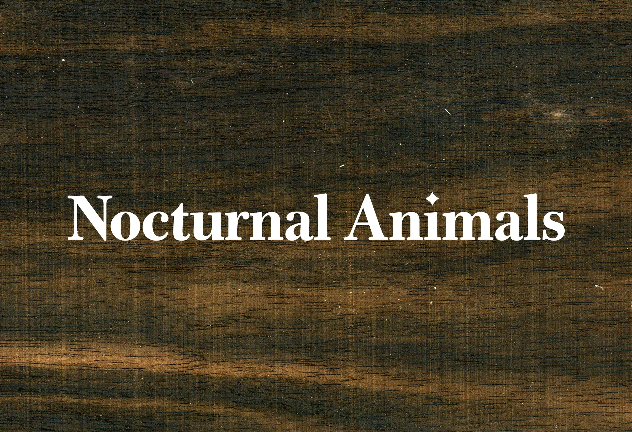 nocturnal animals thumbnail