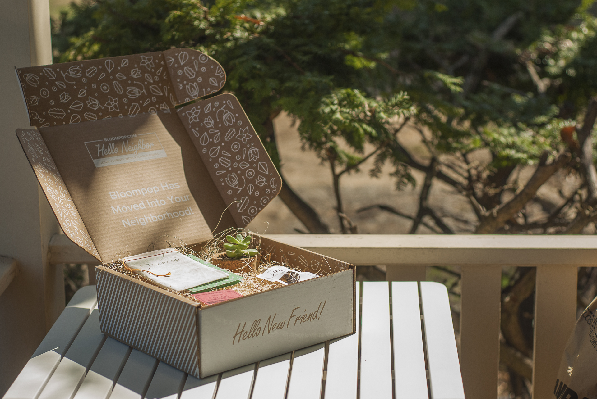 bloompop box 2