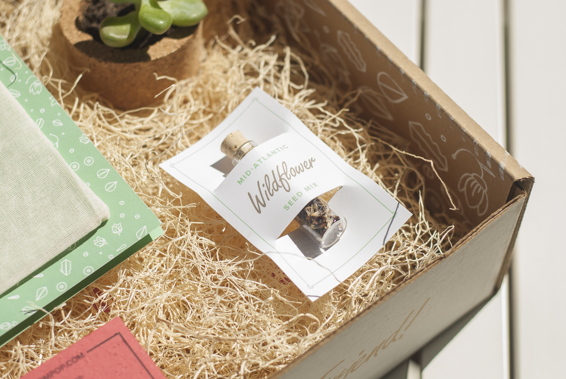 bloompop box 3