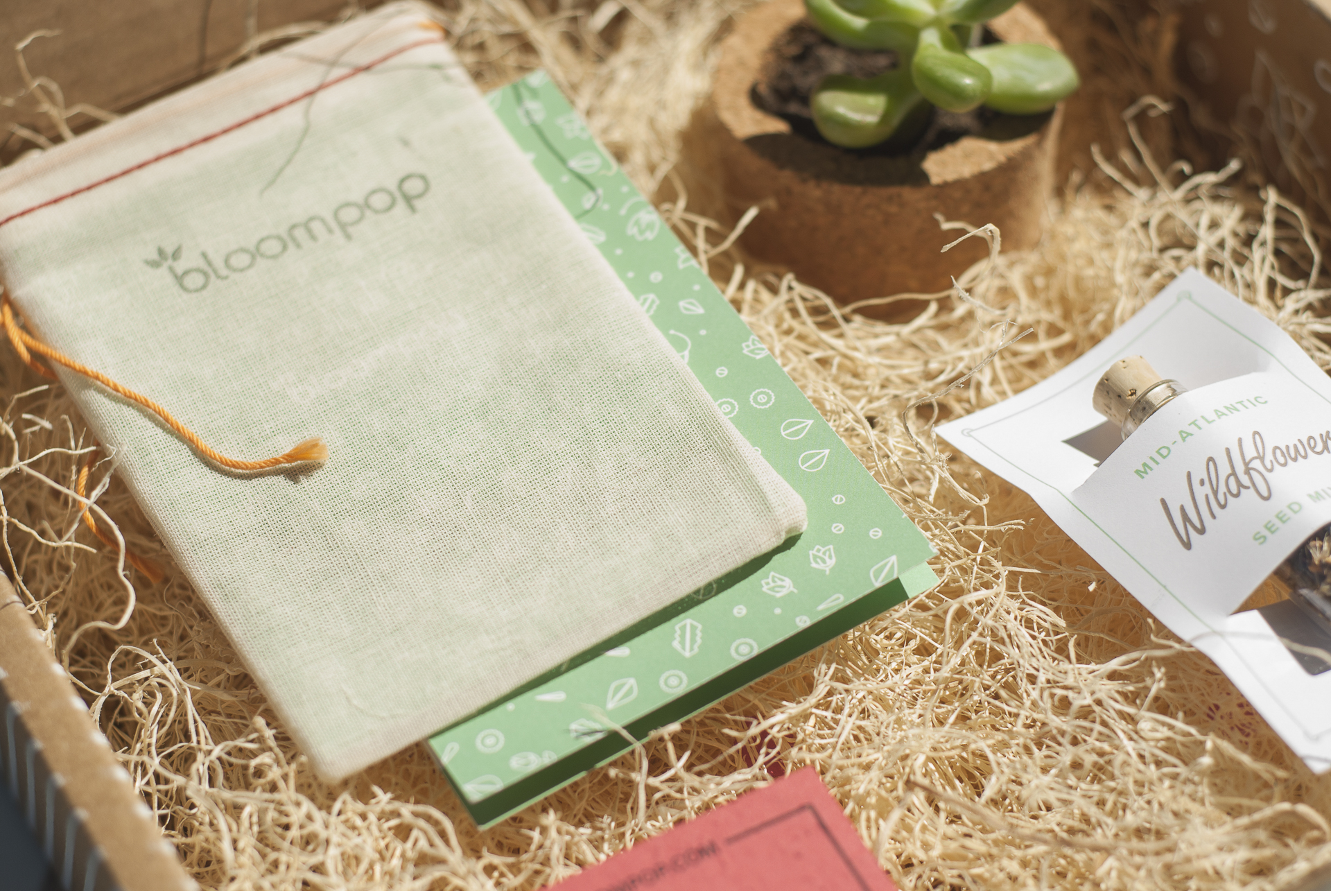 bloompop box 4