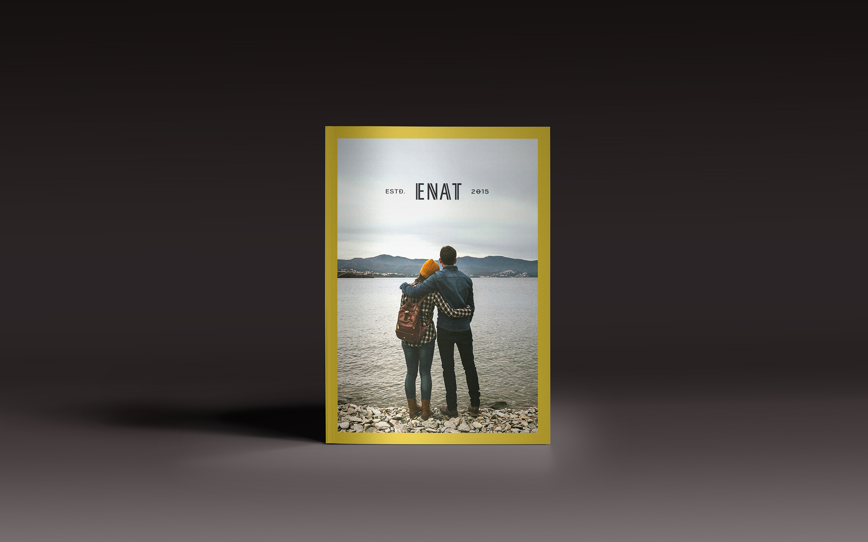 collateral brochure