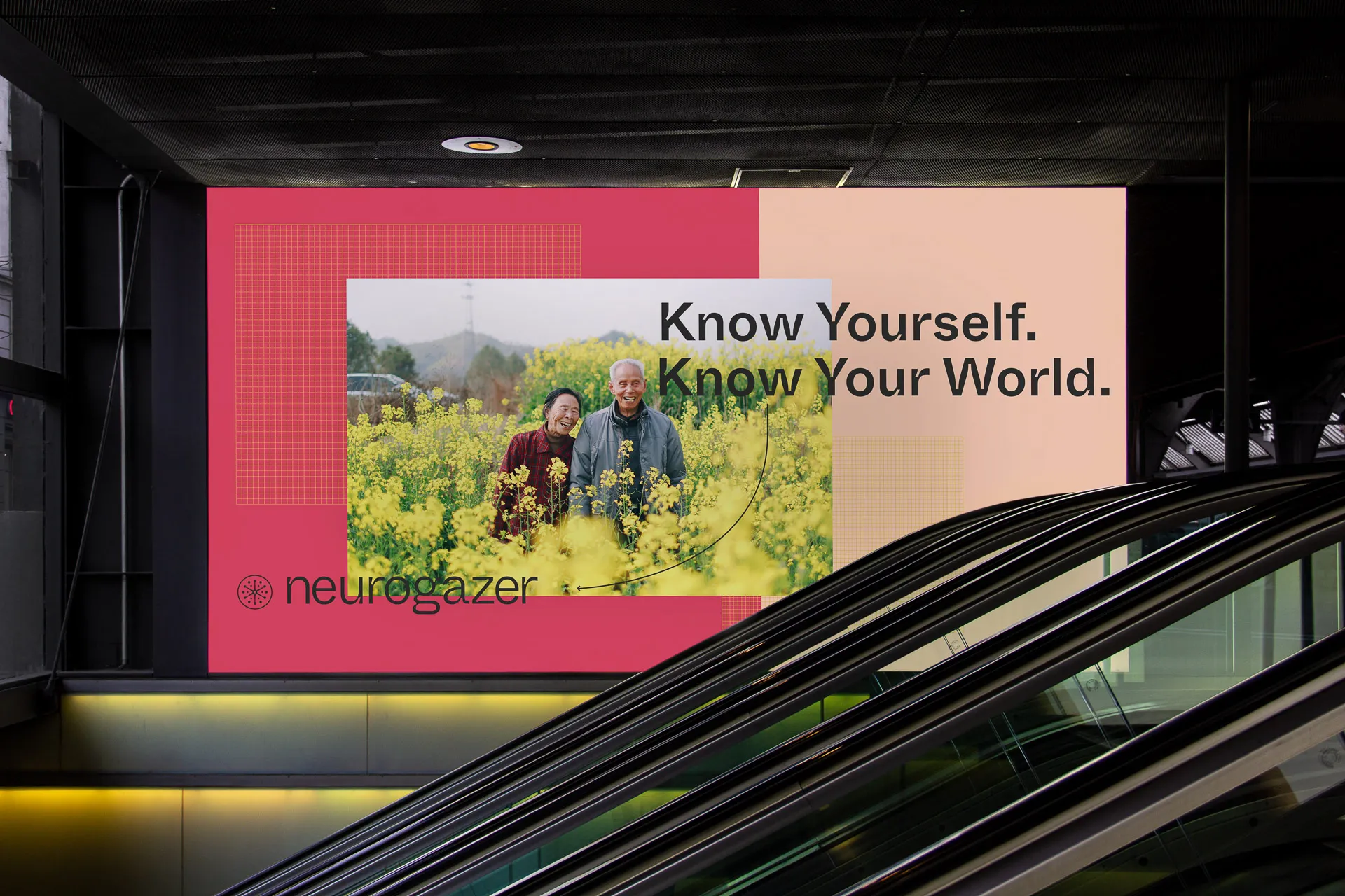  wrkhrsco neurogazer 04