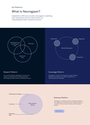 wrkhrsco neurogazer 14